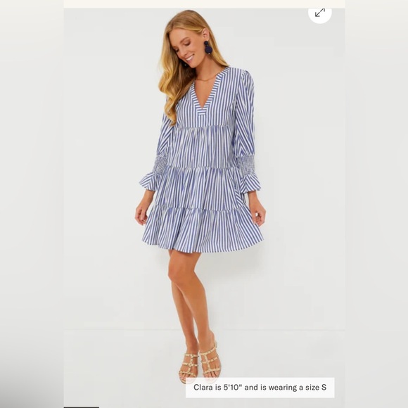 Tuckernuck Dresses & Skirts - Tuckernuck Pomander Place Blue and White Stripe Cotton Poplin Kenzo Dress